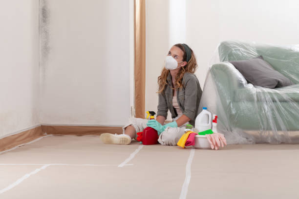 Reliable Mold Testing contractor in Huntington, TX by WQB Mold Removal